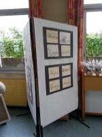 /album/galerie-de-photos-expo-2013/a20130610-101722-jpg/