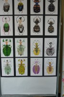 /album/galerie-de-photos-expo-2015/p1030470-jpg/