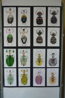 /album/galerie-de-photos-expo-2015/p1030471-jpg/