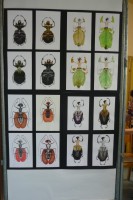 /album/galerie-de-photos-expo-2015/p1030473-jpg/