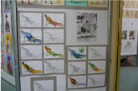 /album/galerie-de-photos-expo-2015/oiseaux-jpg/